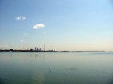 wide_03_tom_gabriel.jpg