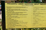 Pineapple growing information