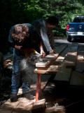 _DSC6427s800.jpg