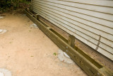 _DSC9202s1200w.jpg