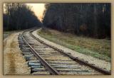 _DSC0816s900.jpg