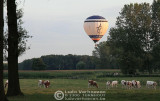VANUIT EEN VOLGWAGEN Ballonvaart Brasschaat-Loenhout (19.8.2009)