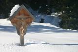 Kleinwalsertal - Melköde / Schwarzwassertal / Schwarzwasserhütte