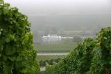 Mosel 2005