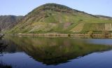 Mosel 2005