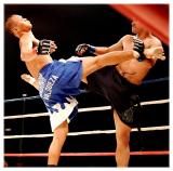 URCC 7: The Art of War