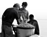 Boiled Peanuts: mani