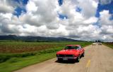 Driving the Philippines in Classic Cars