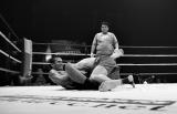 URCC 8: Undisputed