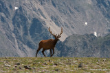 RMNP033.JPG