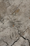 9-4019.JPG
