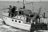 SEMAINE DU GOLFE 2009.064.JPG