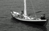 SEMAINE DU GOLFE 2009.076.JPG