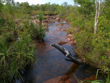 Above the Wangi Falls