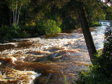 tumulte des eaux