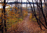 Sentier vers le fleuve