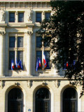 Universit de Paris
