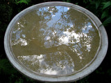 la fontaine et son reflet