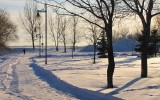 ski de fond au parc