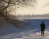 promenade à ski