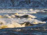 lescalier de lile aux rapides  Ville Lasalle