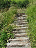 escalier des champs