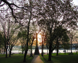 Jardin des gouverneurs