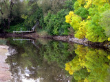 l'automne sur la rivière Couchepaganiche