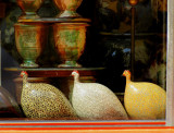 vitrine d'Arles