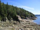 le cot sauvage de LAnse-de-roche