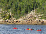 Randonne en kayaks sur le fjord