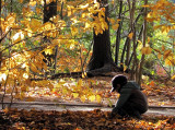 le petit garçon et l'automne