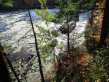 la rivière derrière la forêt