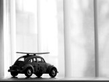 coccinelle surfeuse