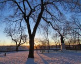 début d'hiver au parc Montmorency