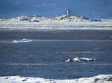 le phare au milieu du fleuve
