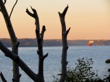 Le fleuve à l'aube
