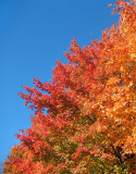 Ciel bleu d'automne