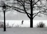 le skieur de fond