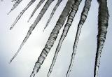 glaçons Punk