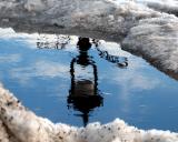 Reflet oeil -de-chat