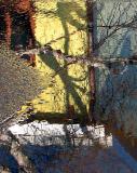 Reflets de la rue