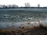 L'étang gelé