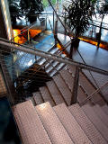 les escaliers de laquarium