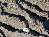 les fausses marches d'escaliers
