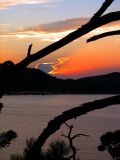Coucher de soleil entre les branches au parc du Bic