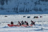 chasse à l'homme sur la banquise