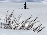 survivants de l'hiver