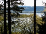 le lac entre les arbres