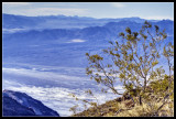 Amargosa River Valley